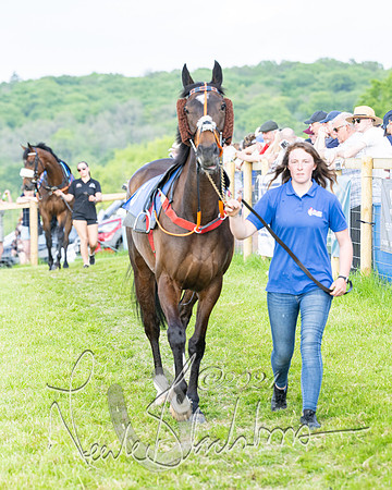 Race 6 - Intermediate (13 of 212)