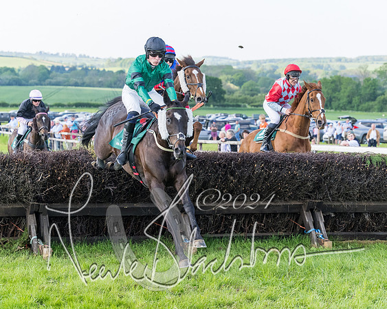 Race 7 - Veteran Horse (31 of 246)