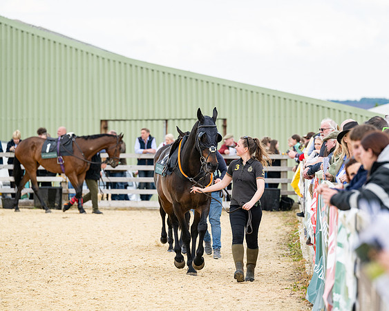 Race 2 - 2M4F Conditions (22 of 195)