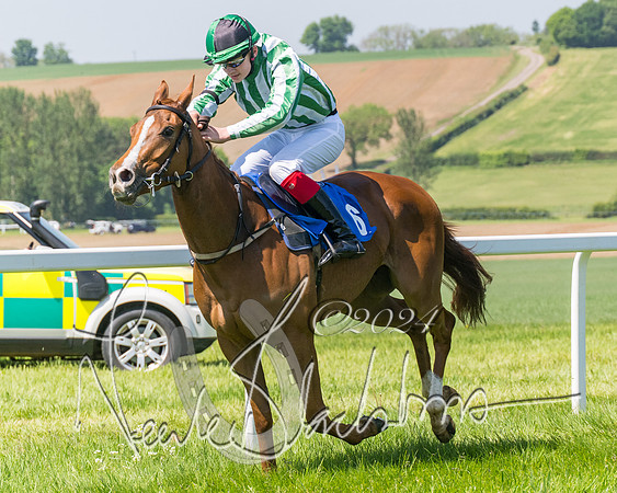 Pony Races  (90 of 141)