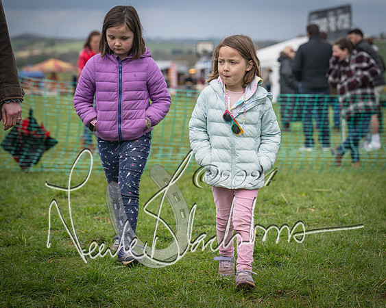 Bicester - Dog Show (97 of 106)