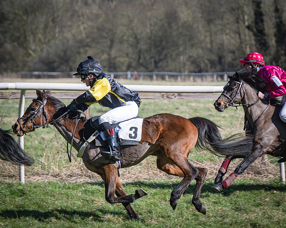 Pony Races (44 of 112)