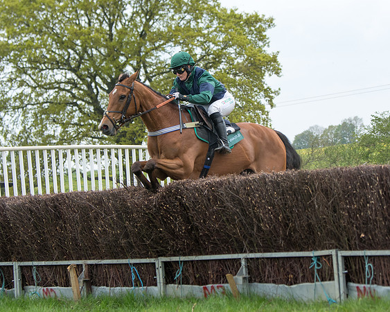 Race 2 - Jockey Club ROR veteran Horse (58 of 104)