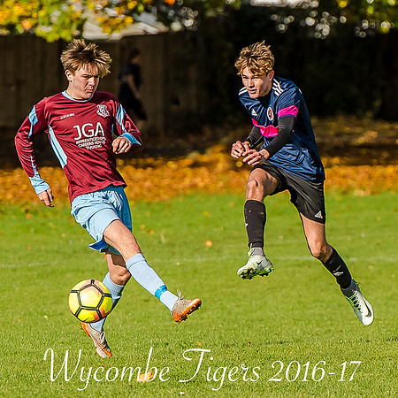 Wycombe Tigers Cover