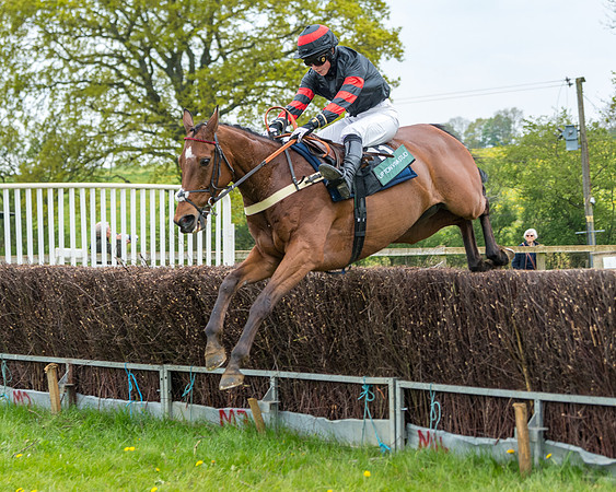 Race 2 - Jockey Club ROR veteran Horse (75 of 104)