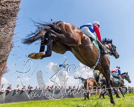 Race 1 - Members (181 of 312)