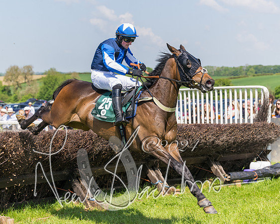 Race 2 - The Maiden  (237 of 442)