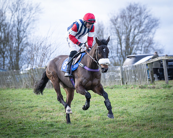 Race 7 - Maiden Conditions (7 of 164)