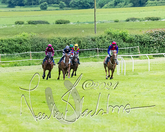 Race 3 - Conditions (202 of 367)