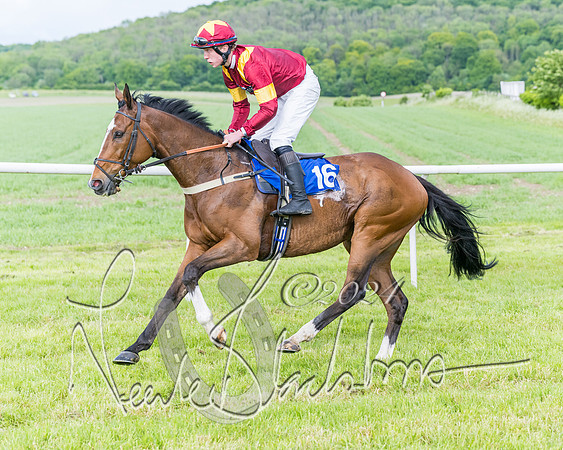 Race 5 - Restricted Race (164 of 434)