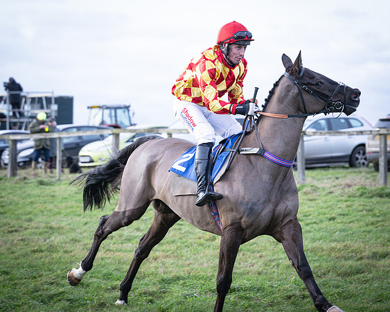 Race 7 - Maiden Conditions (13 of 164)