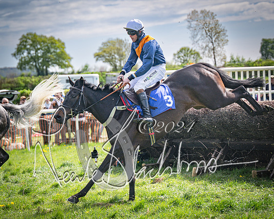 Race 2 - The Elliott of London maiden race (91 of 137)