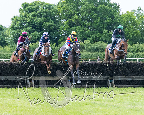 Race 3 - Conditions (165 of 367)