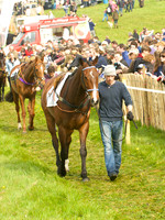 Old Berks at Lockinge Restricted Race