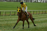 Race 5 - Restricted 15