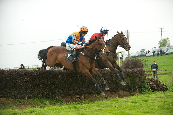 Race 2 - Novices 43