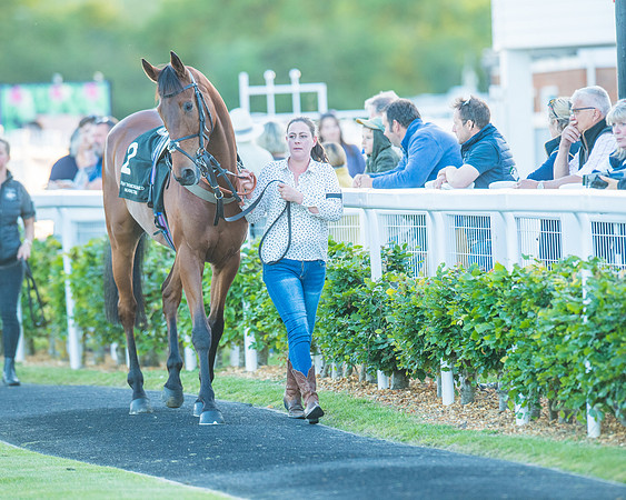 Race 7 - ITM Bumper (3 of 72)