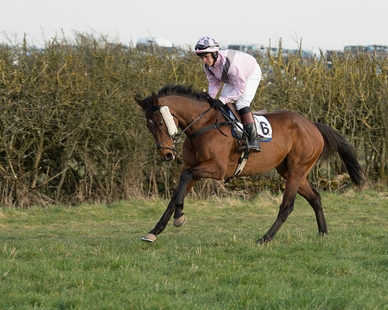 Race 6 - Open Maiden Race (17 of 99).jpg