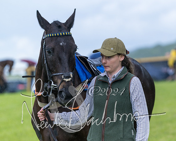 Race 1 - Owner-Trainer Conditions  (14 of 392)