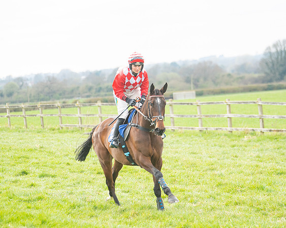 Race 6 - The Restricted Race (51 of 200)