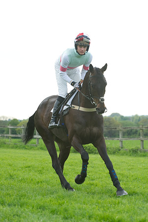 Race 6 -  17