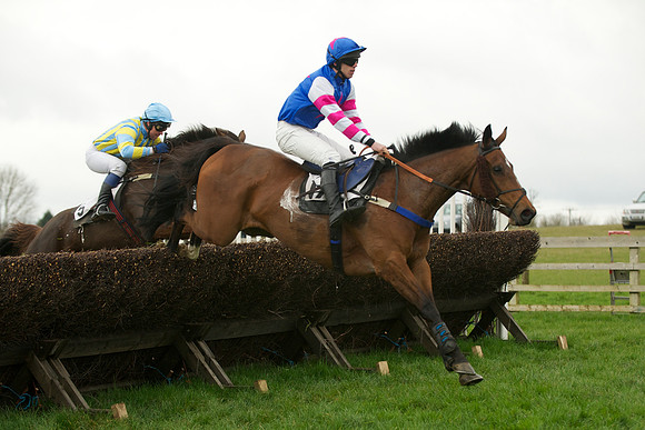 Mares Maiden -  36