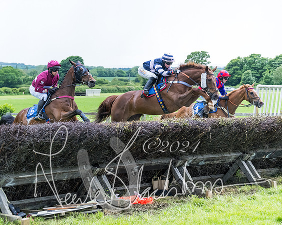Race 3 - Conditions (220 of 367)