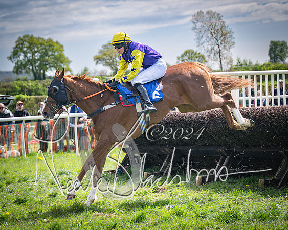 Race 2 - The Elliott of London maiden race (95 of 137)