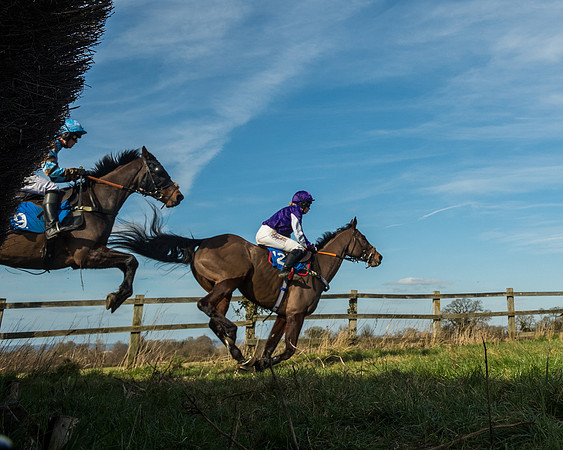 Race 3 - Ladies Open (64 of 156)