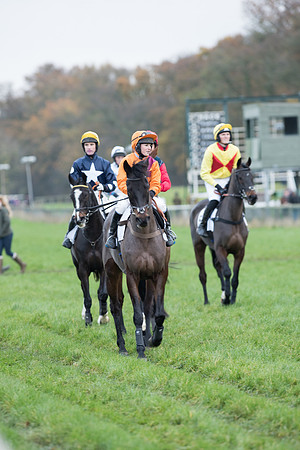 Race 6 - 2m4f Maiden 14