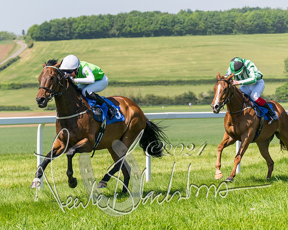 Pony Races  (84 of 141)