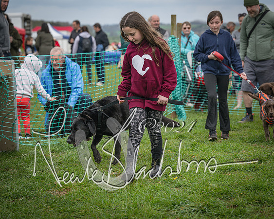 Bicester - Dog Show (35 of 106)