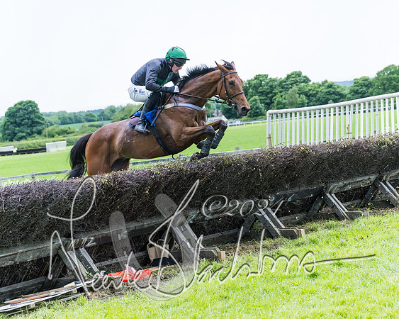Race 3 - Conditions (244 of 367)