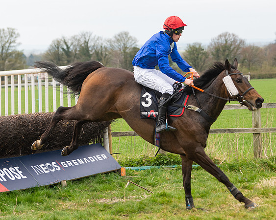 Race 5 - The Ineos Home Counties Grand National (69 of 133)