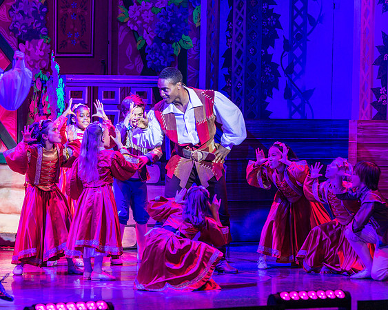 Swan Panto 2017