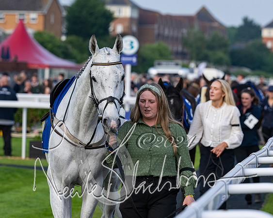 Race 4 - Stratford Foxhunters (19 of 145)