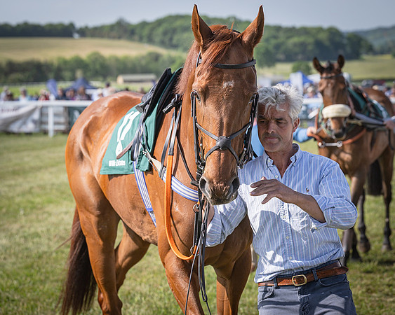 Race 5 - Restricted (23 of 116)