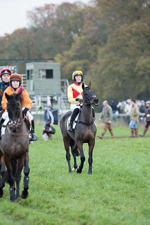 Race 6 - 2m4f Maiden 16