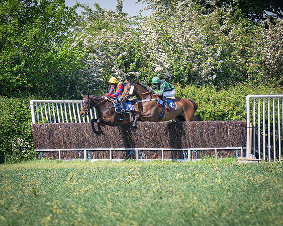 Race 3 The College and County Ladies Open Race (52 of 122)