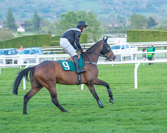 Race 7 - Glos Hussars  (61 of 245)
