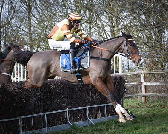 Race 1 - All Is True - Jack Andrews (30 of 38)