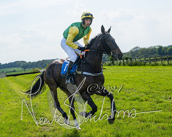 Race 5  - Maiden race 2m5F Div-1 (70 of 197)