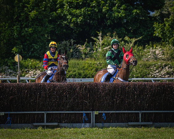 Race 3 The College and County Ladies Open Race (21 of 122)