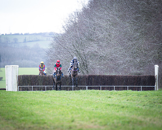 Race 4 - Ladies Open (8 of 115)