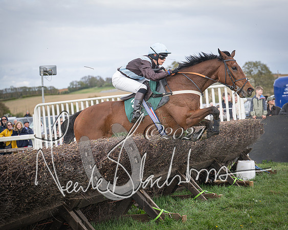 Race 3 - 5 years old and Over Maiden Race (75 of 130)