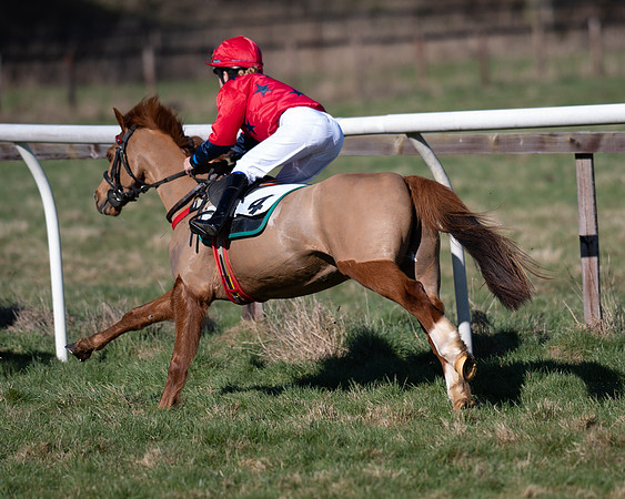 Pony Races (111 of 112)