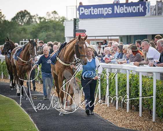 Race 3 - The pointtopoint.co.uk champion novices’ Hunter Chase (23 of 140)