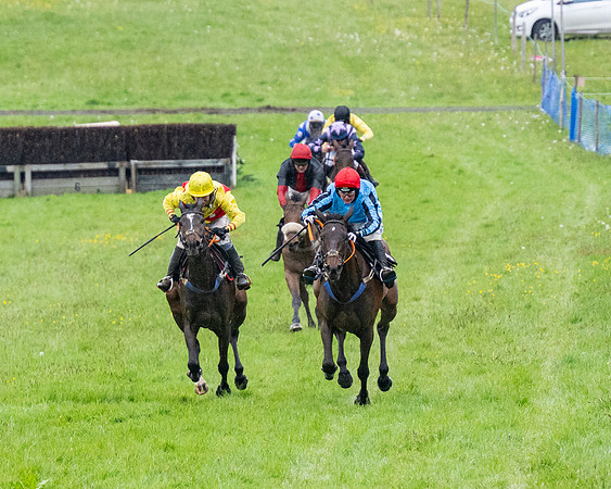 Race 8 - Bumper Div 2 (39 of 84)