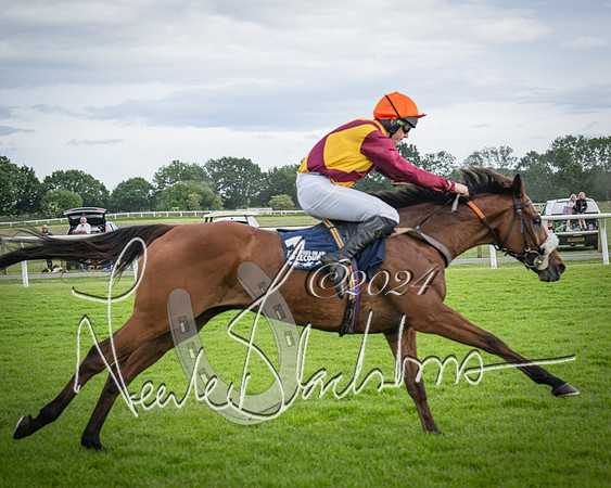 Race 1 - Pointing Pointers Restricted Final (58 of 79)