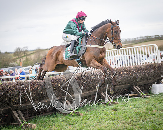 Race 6 - The Restricted Race (44 of 101)